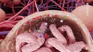 glomerulonephritis [upl. by Dietrich]