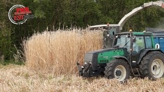 La récolte du miscanthus [upl. by Ashlin]