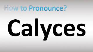 How to Pronounce Calyces [upl. by Uriisa59]