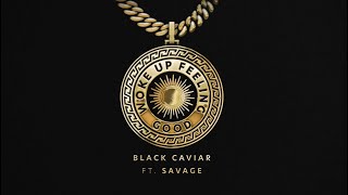 Black Caviar  Woke Up Feeling Good feat Savage [upl. by Darsie]