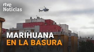 TRES MIL VIVIENDAS EL CULTIVO DE DROGA provoca CORTES DE LUZ POR SATURACIÓN de la RED  RTVE [upl. by Leona]