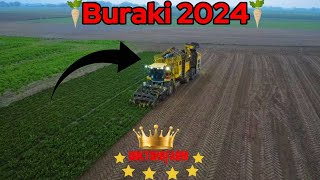 🇵🇱Kopanie buraków💪2024🚨🔥 [upl. by Alyk]