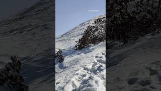 hills mountains snow travel struggle munsyari khaliya top shorts viral travel munsyari khaliya [upl. by Foskett]