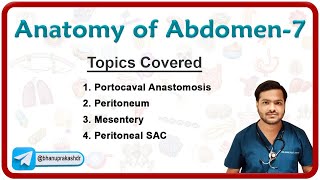 Anatomy of the Abdomen Part  7  Portocaval Anastomosis Peritoneum Mesentery amp Peritoneal Sac [upl. by Ladnyk]