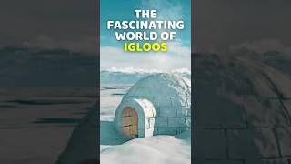 Igloos Uncovered Snow Castle Discoveries [upl. by Ennairoc936]