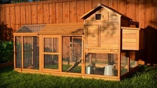 Building a Chicken Coop Kit w Additional Modifications [upl. by Alisan737]