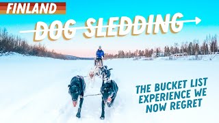 IS DOG SLEDDING ETHICAL The Bucket List Experience We Now Regret [upl. by Ilecara]