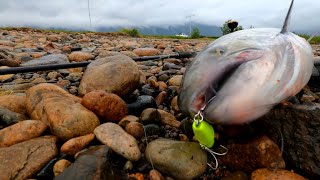 Iniciando esta nueva temporada de pesca 20242025 con una linda captura en el río Aysén [upl. by Puri775]