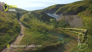 Have you discovered Scotland’s spectacular Berwickshire Coast [upl. by Filomena]