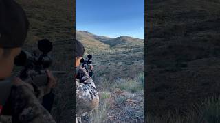 Arizona mule deer hunting Az Sancarlos Apache reservation bno muledeerhunting Sancarlosmade [upl. by Velvet]