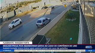 DF ALERTA  Mulher presa por abandonar gatos ao lado de contêiner de lixo [upl. by Atolrac]