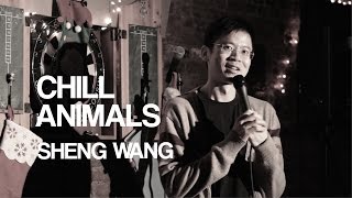 Sheng Wang  Chill Animals  Stand Up Comedy [upl. by Monte]