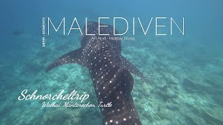 Malediven  Schnorcheltrip mit Walhai Manta Turtles und mehr  Schnorcheln im Paradies [upl. by Helenka]