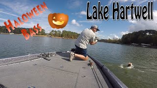 Lake Hartwell Halloween Bass Fishing [upl. by Jennette]