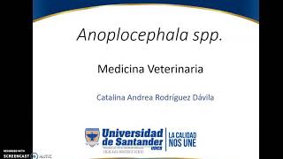 Anoplocephala  Parasitologia Veterinaria [upl. by Sadinoel]