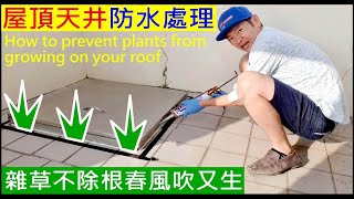 屋頂縫隙防水防雜草DIY【雜草不除根春風吹又生】How to prevent plants from growing on your roof 白同學防水DIY [upl. by Einra]