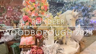 Reindeer at Woodborough  Long garden centre 2024 [upl. by Pedroza489]