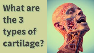 What are the 3 types of cartilage [upl. by Yordan745]