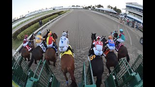 Todd Pletcher on Fierceness loss in Holy Bull and future plans [upl. by Najed]