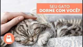 Por que os gatos dormem com os ‘tutores  5 razões felinas [upl. by Rednirah]