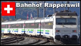 Züge am wunderschönen Bahnhof von Rapperswil Schweiz 2017 [upl. by Lisk]