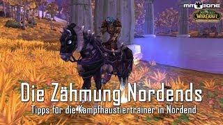 Die Zähmung Nordends Guide  Tipps und Tricks [upl. by Inobe178]