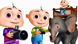 Zool Babies Wild Life Photography Episode Single  Videogyan Kids Shows  Cartoon Animation [upl. by Ellirpa]