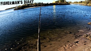 Wooli River Shark Big Bigeye Trevally Flathead  Fishermans Diary Ep 779 [upl. by Okimat]