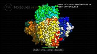 Molecules in silico ･ AZURIN FROM PSEUDOMONAS AERUGINOSA Y72FY108FF110A MUTANT [upl. by Enirhtak983]