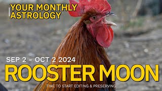 Chinese Lunar Astrology Sept 2  Oct 2 2024 The Rooster Moon [upl. by Ayk]