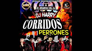 Corridos Perrones El Caballon 💽Dj Harry👑El Regreso Del DJ😎Magix Sound Récords💥 [upl. by Melinde]