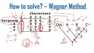 Cladogram analysis Problems and solutions for CSIR NET exam [upl. by Jumbala]