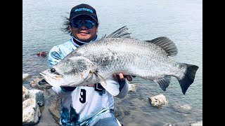 causeway salt barra  Yeppoon fishing  causeway bridge  ang daming isda mga master [upl. by Jakie]