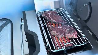 First time cooking with Napoleon Prestige Pro 500 [upl. by Weasner]