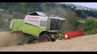 Claas Medion 330H 4Trac Az Agr Flli Di Nicola Harvest Season 2021 [upl. by Pontias525]