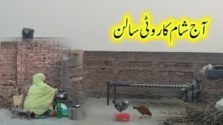 Pakistan Village life styleBest Village Vlogtahreenvillagvlog [upl. by Betty343]