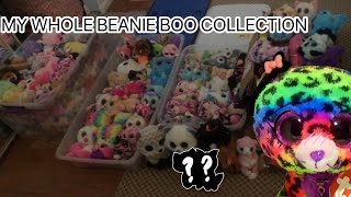 My ENTIRE 2024 Beanie Boo Collection [upl. by Lewellen]