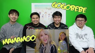 MAMAMOO  gogobebe MV REACTION FUNNY FANBOYS [upl. by Dilks]