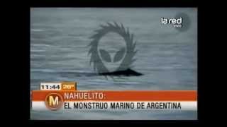 Salfate habla de quotNahuelitoquot extraña criatura marina de Argentina [upl. by Ahsinert]