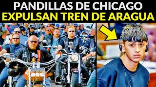 PANDILLAS DE CHICAGO LE DECLARAN LA GUERRA AL TREN DE ARAGUA [upl. by Allesig]