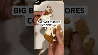 Air Fryer Smores Cookies  Easy amp Delicious [upl. by Lleda]