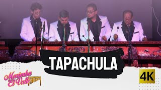 Marimba El Valle  Tapachula 4K [upl. by East454]