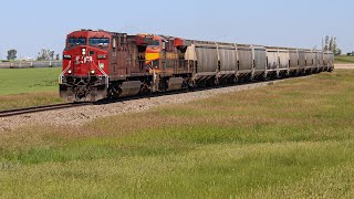 CP 9836 South  CPKC 317 Canola  CP Montana Sub  Stirling Alberta [upl. by Dode]