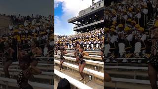 🖤💛🤍 majorette cheerleading hbcu [upl. by Acirederf]