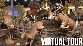 Cabelas Wildlife  Triadelphia West Virginia  Virtual Tour [upl. by Divadnhoj923]