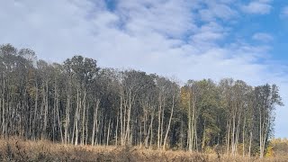 Aventura în natura sălbatică [upl. by Langille]