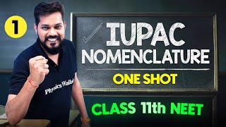 IUPAC Nomenclature  Complete Chapter in One Video  ConceptsPYQs  Class 11th NEET [upl. by Nilam839]