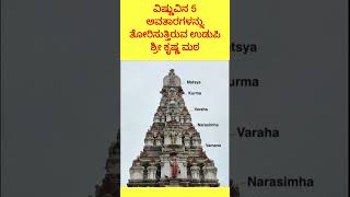 Vishnu avatars FactEngineKannada [upl. by Novah]