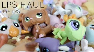 LPS Haul 35 LPS and Accessories [upl. by Annoik]