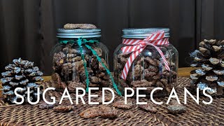 Crockpot Cinnamon Sugared Pecans  Hostess Gift that is not Cookies  Stuff Moms Have Time For [upl. by Idram457]